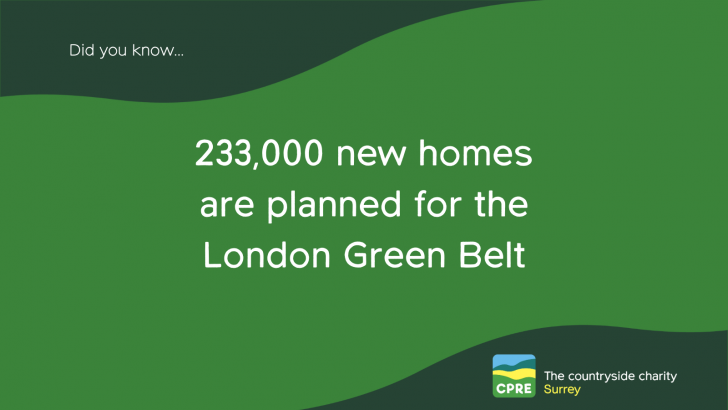 233,000 new homes are planned for the London Green Belt