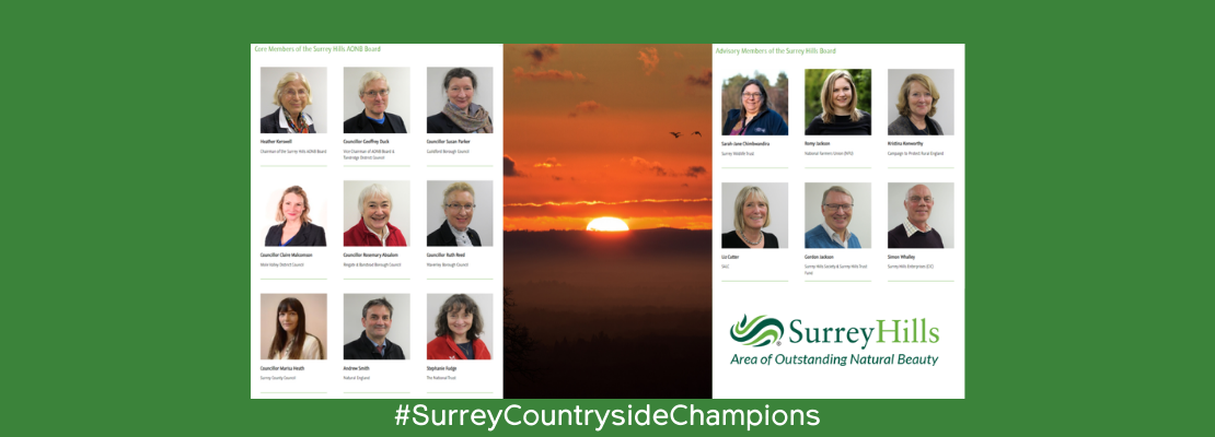 Surrey Hills board - Surrey Countryside Champions