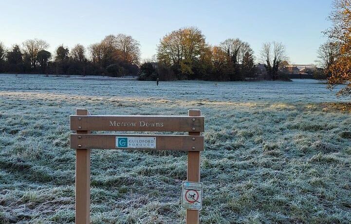 Image of a frosty field in Merrow Downs with a wooden sign reading "Merrow Downs"