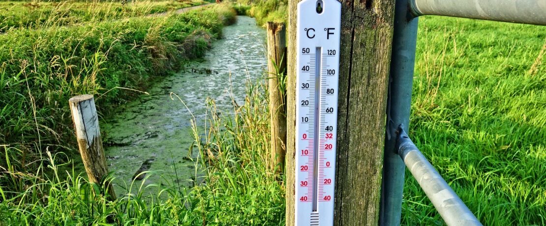 Thermometer on fence