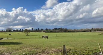 Image of Epsom Green Belt Land. Wide open green field with blue sky and white fluffy clouds. Horses are grazing in the field.
